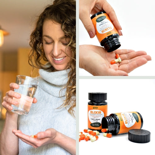Cápsulas Cogumelo Juba de Leão ultra concentrado - ELIXIR
