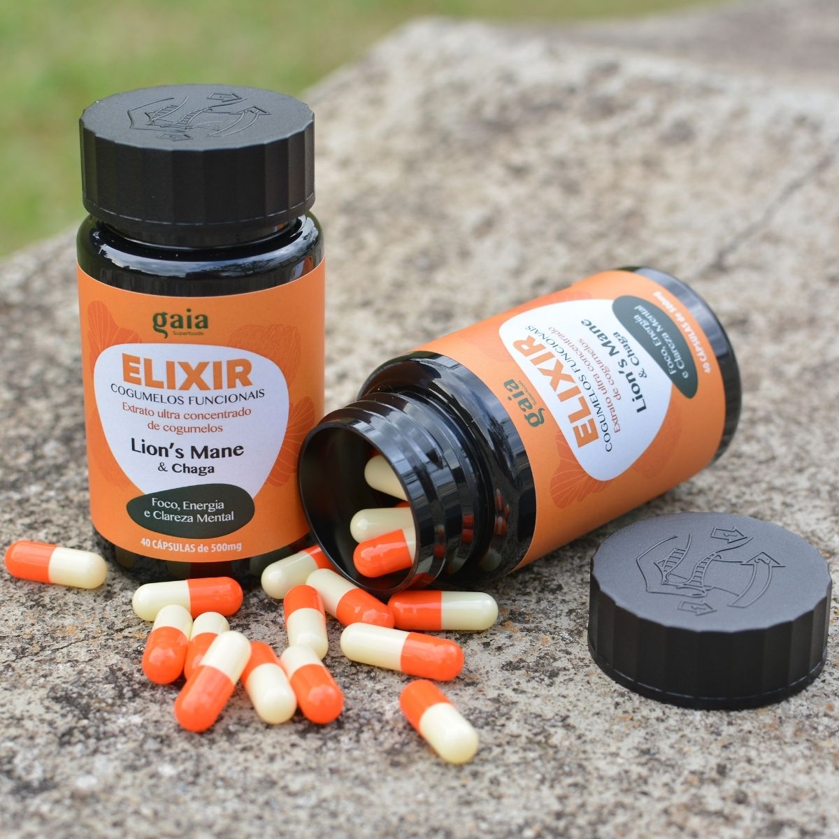 Cápsulas Cogumelo Juba de Leão ultra concentrado - ELIXIR