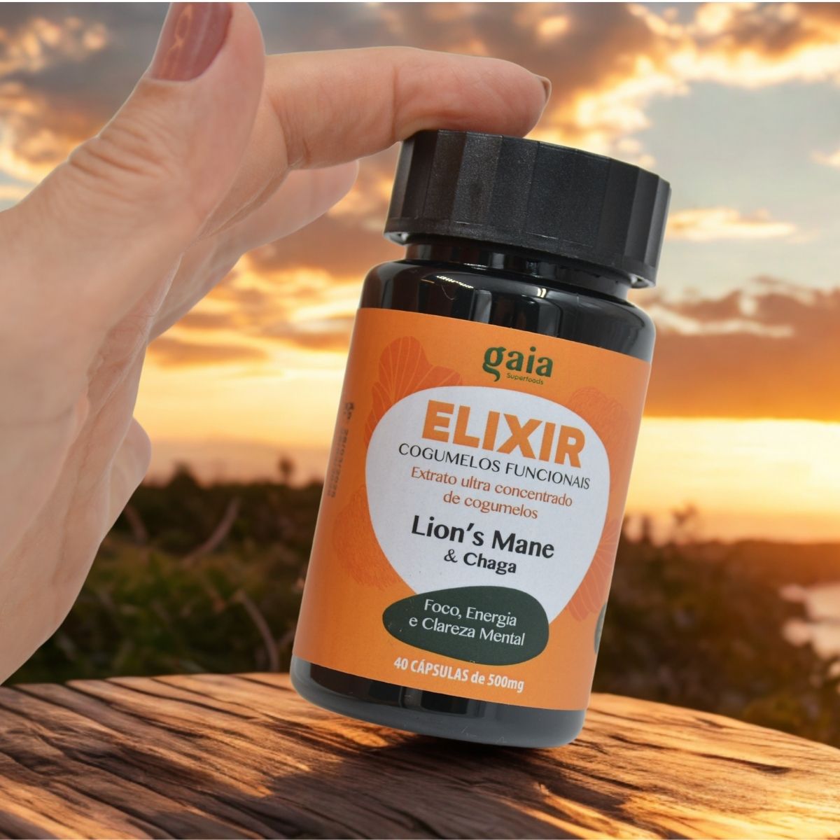 Cápsulas Cogumelo Juba de Leão ultra concentrado - ELIXIR