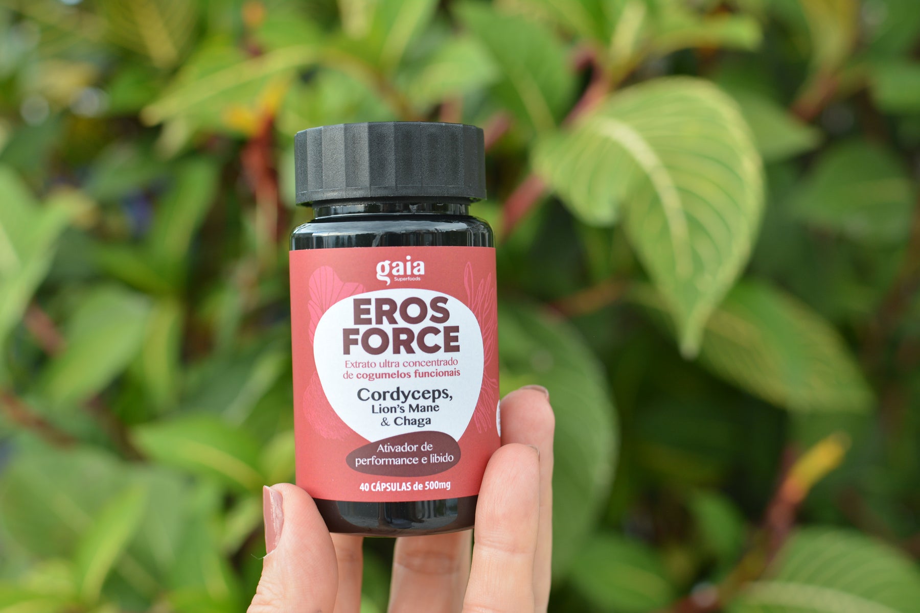 Combo 3 Frascos | Cordyceps ultra concentrado