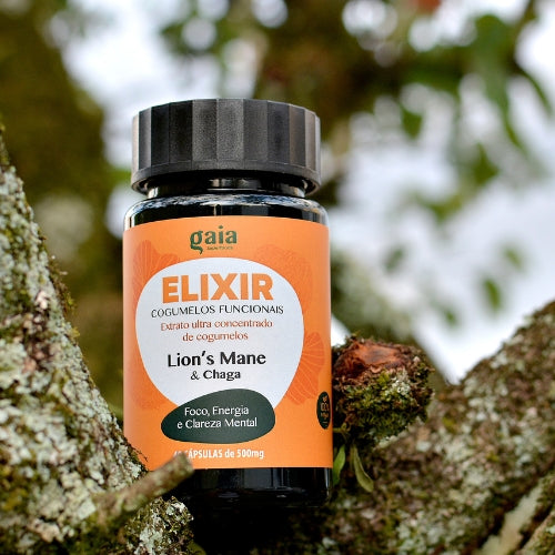 Cápsulas Cogumelo Juba de Leão ultra concentrado - ELIXIR