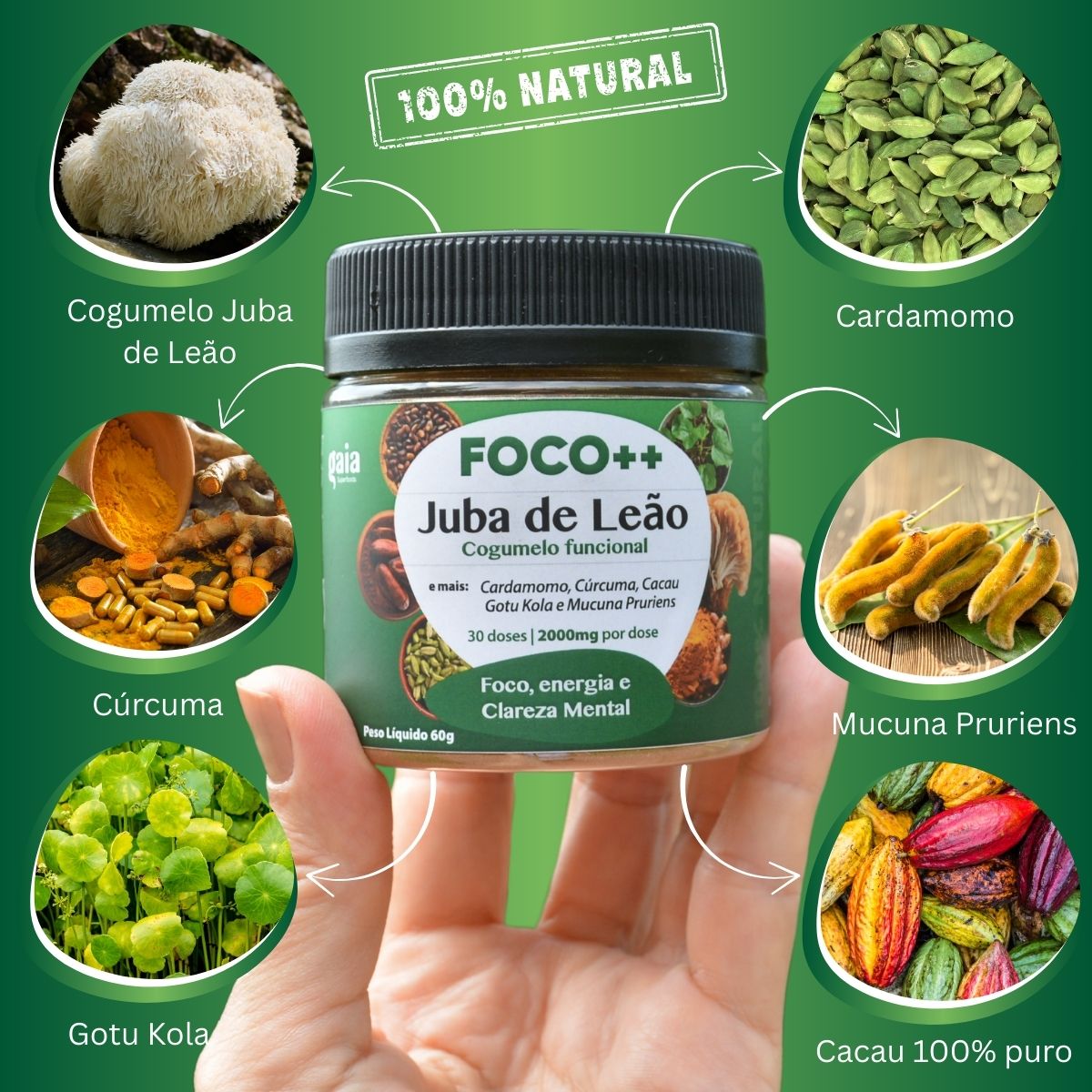 Kit Neuro FOCO