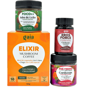 Kit Performance Max