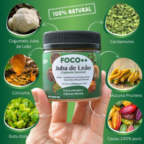 Kit Neuro FOCO