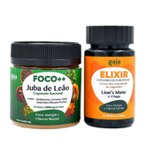 Kit Foco Diário